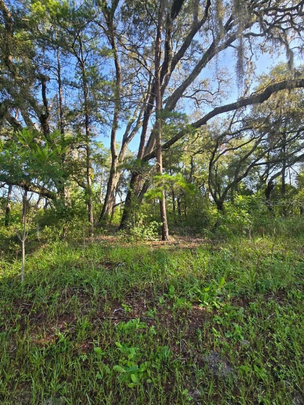 Photo of 13603 Gopher Pond Court, Hudson, FL 34669 (MLS # TB8418284)