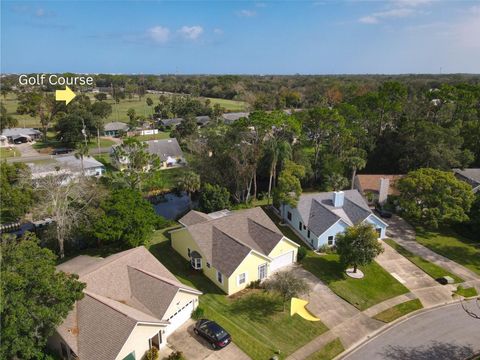 A home in NEW SMYRNA BEACH