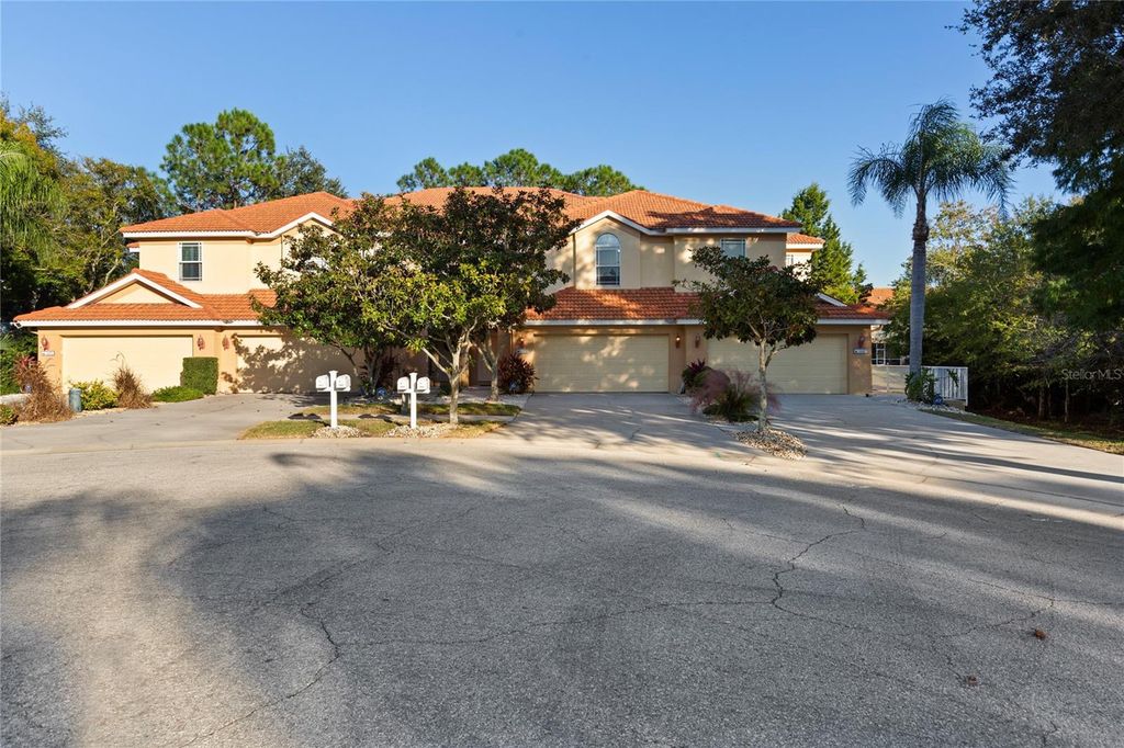 Photo of 1455 Hidden Court, Tarpon Springs, FL 34689 (MLS # TB8448575)