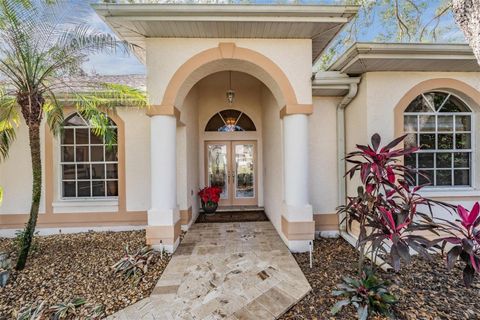 A home in TARPON SPRINGS