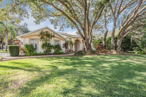 A home in TARPON SPRINGS