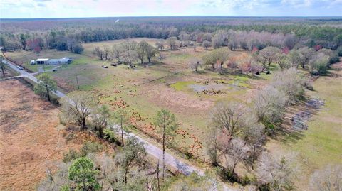 Tiny photo for 14890 Cr 757, Webster, FL 33597 (MLS # TB8424487)