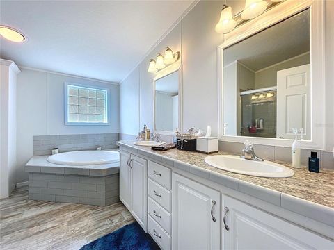 Tiny photo for 14890 Cr 757, Webster, FL 33597 (MLS # TB8424487)