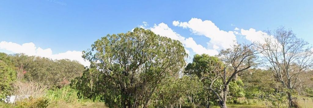 Photo of 1342 Avalon Road, Winter Garden, FL 34787 (MLS # O6365453)