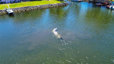 Tiny photo for 3861 N Ringdove Point, Crystal River, FL 34428 (MLS # A4654516)