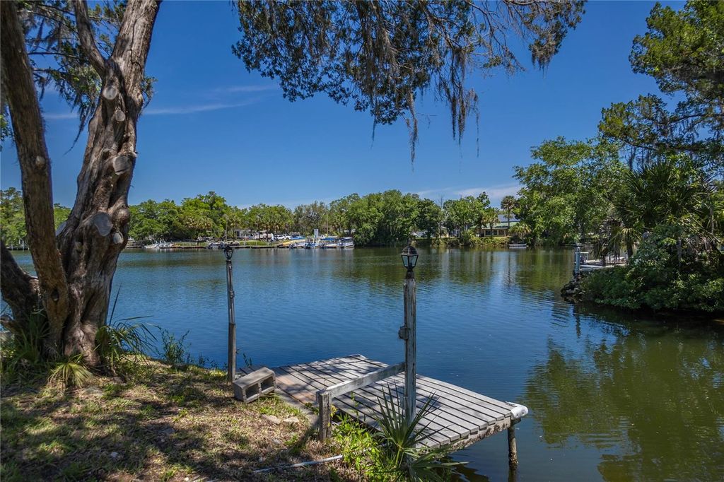 Photo of 3861 N Ringdove Point, Crystal River, FL 34428 (MLS # A4654516)