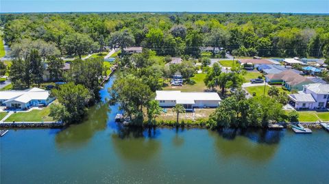 Tiny photo for 3861 N Ringdove Point, Crystal River, FL 34428 (MLS # A4654516)