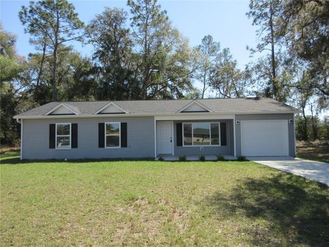 A home in SILVER SPRINGS
