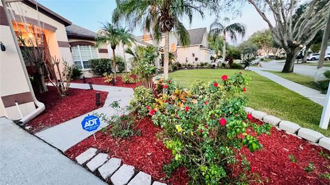 A home in VALRICO