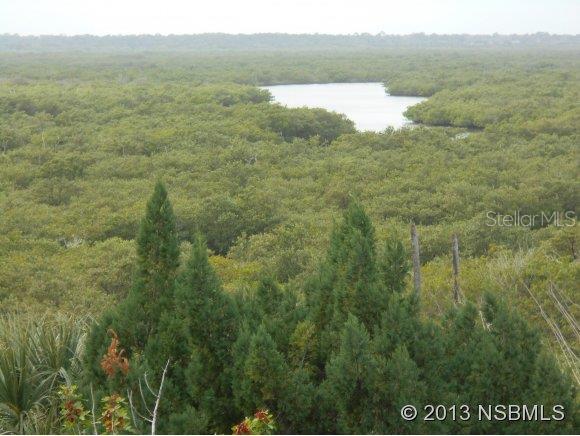 Ocean Walk Condo At Nsb - Residential