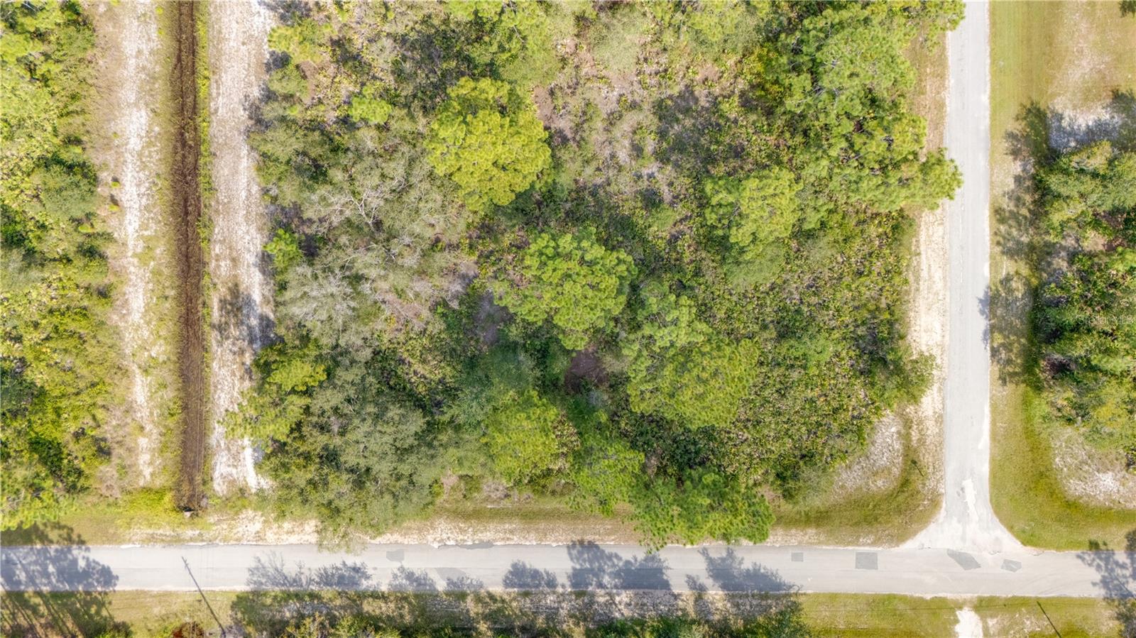 INDIAN LAKE ESTATES - Land