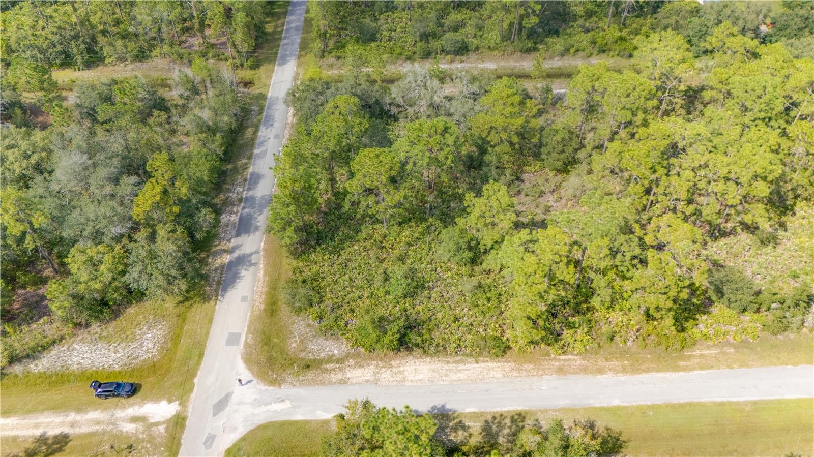 INDIAN LAKE ESTATES - Land