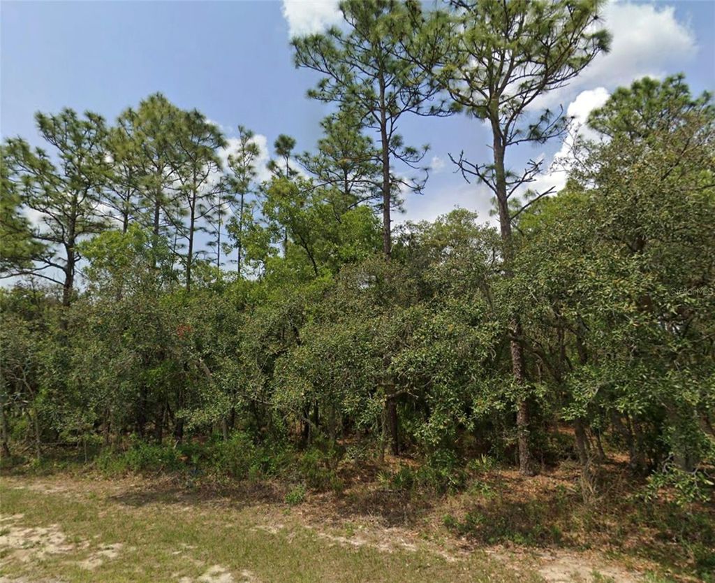 Photo of 3 SW 144th Lane, Ocala, FL 34473 (MLS # OM711648)