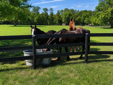 Tiny photo for 6 Wintergreen Way, Ocala, FL 34482 (MLS # OM726286)