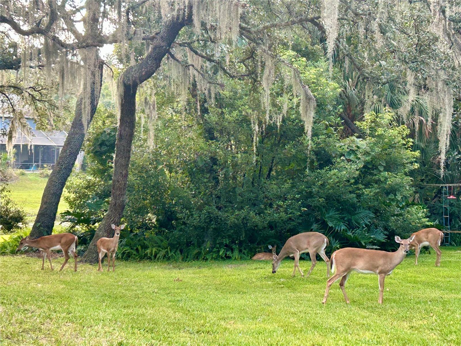 SWEETWATER OAKS SEC 07 - Residential