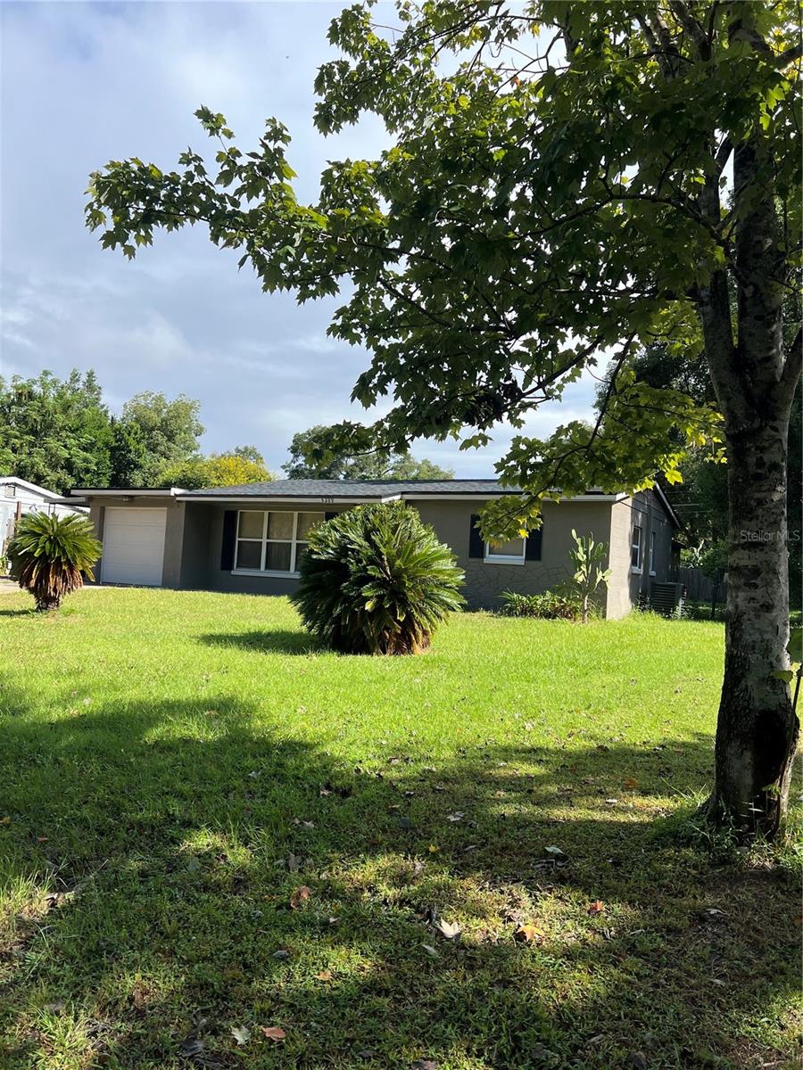 MT PLYMOUTH LAKES REP - Residential