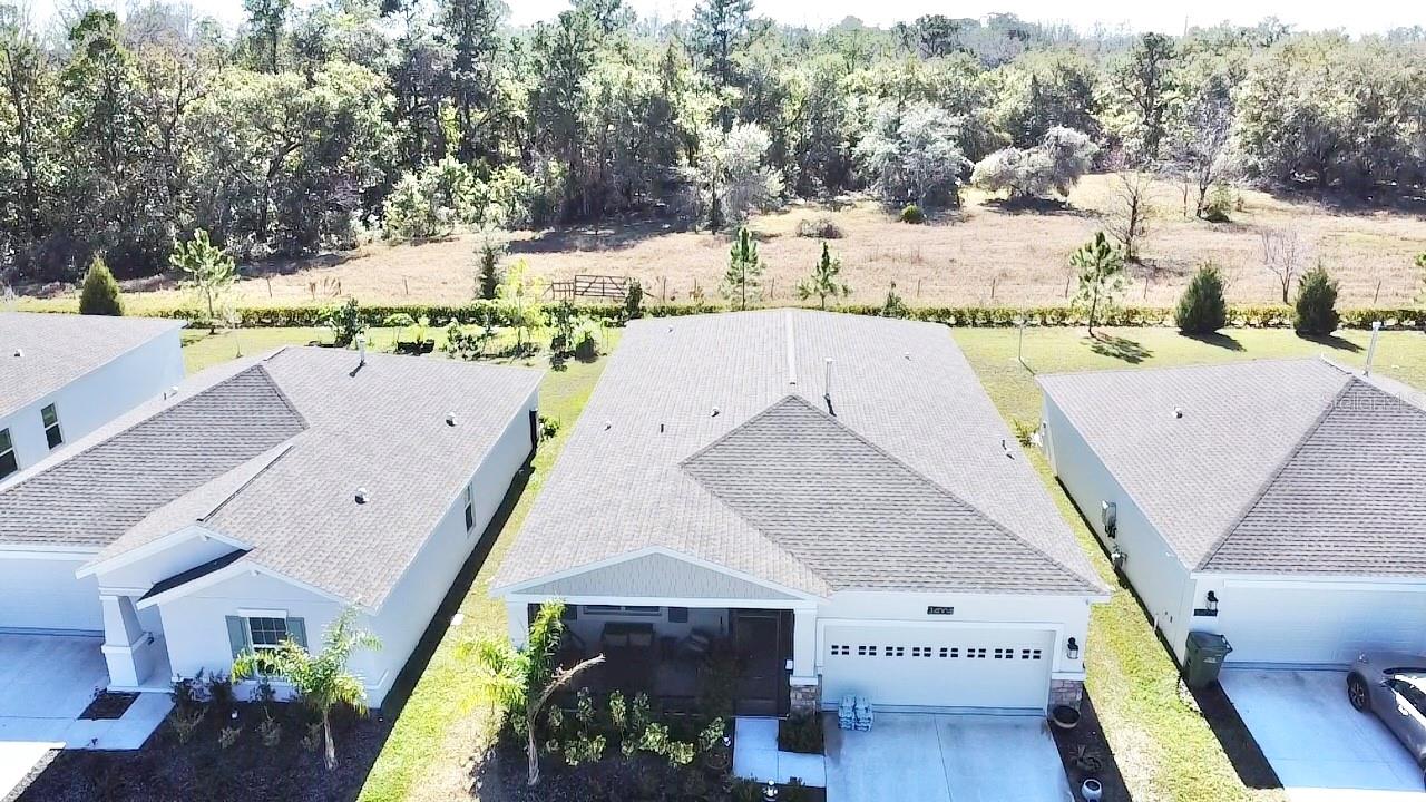 34004 SKY BLOSSOM CIRCLE