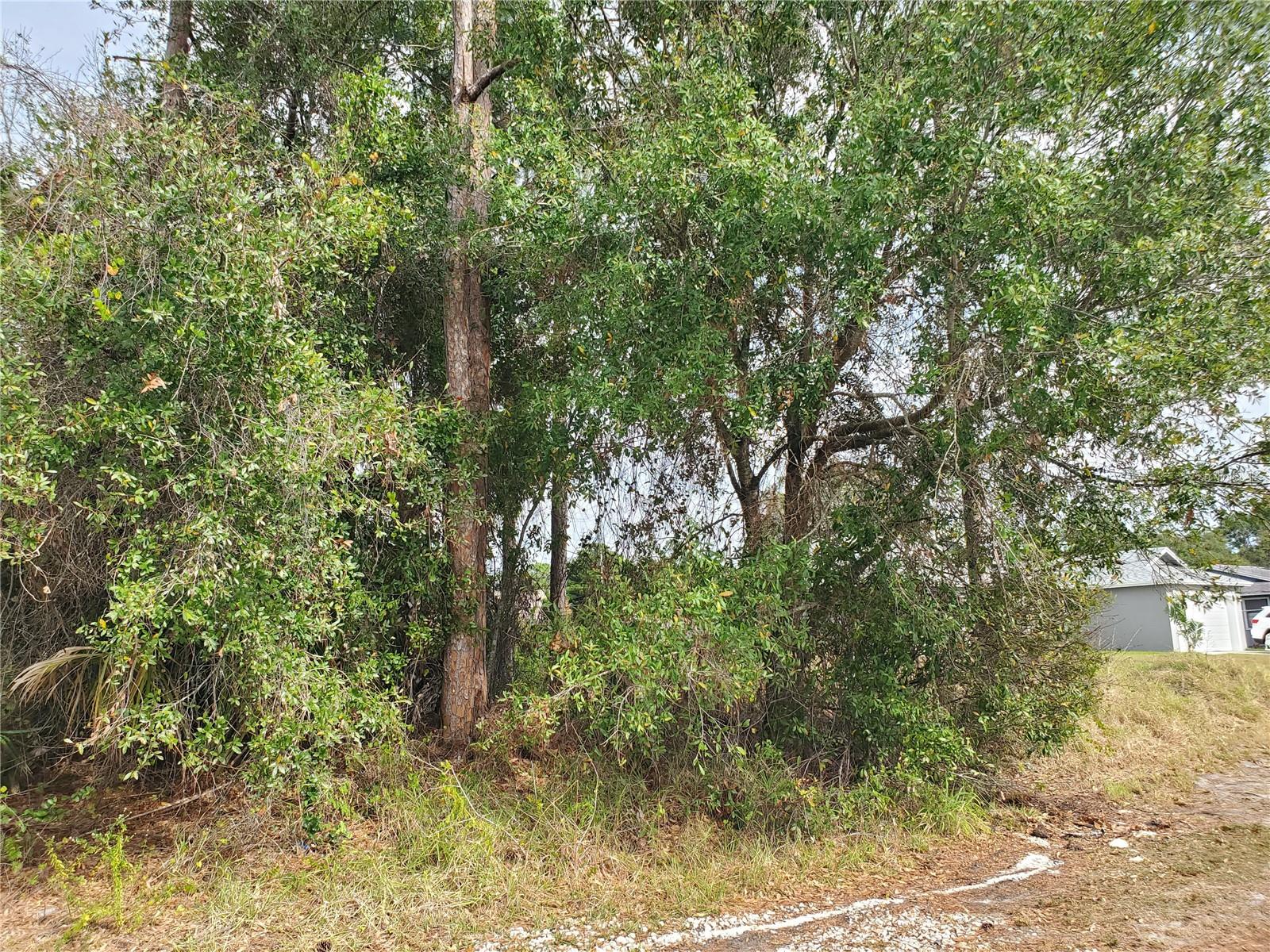 PINE VILLAGE PR-16 - Land