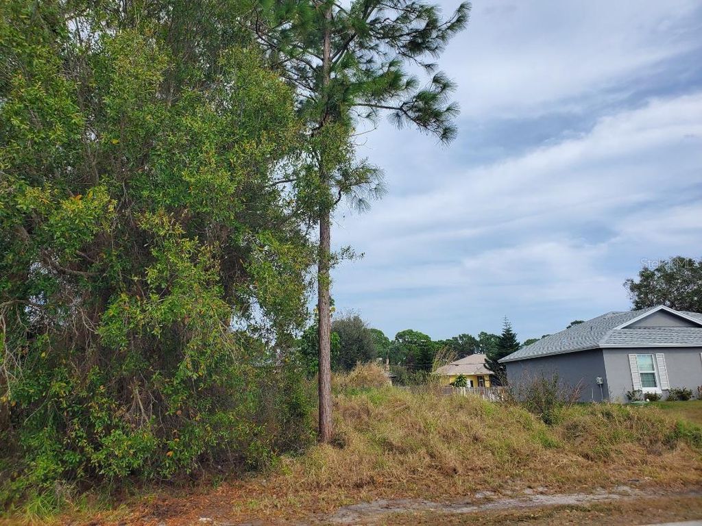 Photo of 1009 SW Castaneda Lane, Port Saint Lucie, FL 34953 (MLS # FC315403)