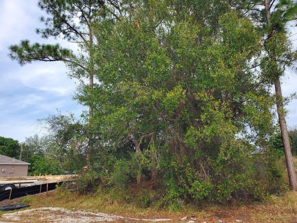 Photo of 1009 SW Castaneda Lane, Port Saint Lucie, FL 34953 (MLS # FC315403)