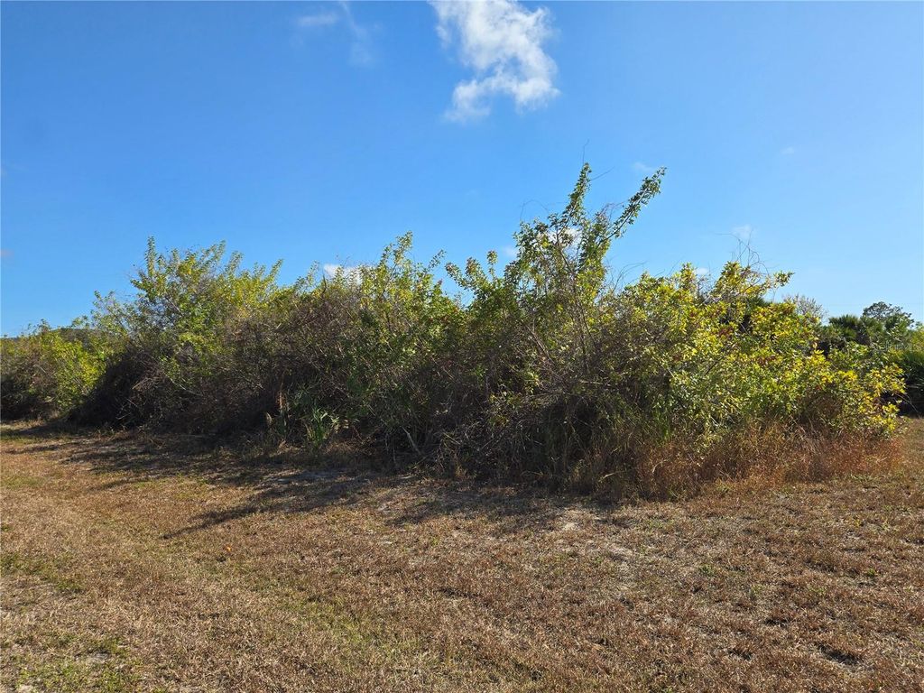 Photo of 277 Baytree Drive, Rotonda West, FL 33947 (MLS # A4680021)