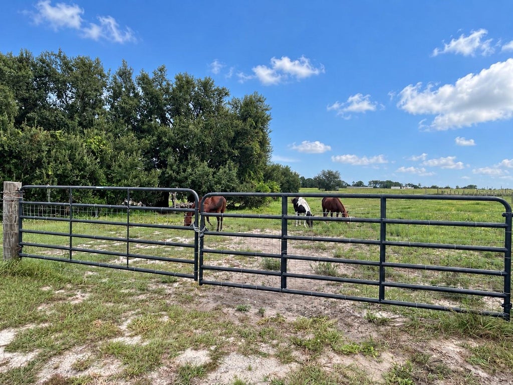 Photo of Mammoth Grove Road, Lake Wales, FL 33898 (MLS # O6435071)