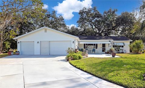 10185 SE 175TH LANE SUMMERFIELD FL 34491