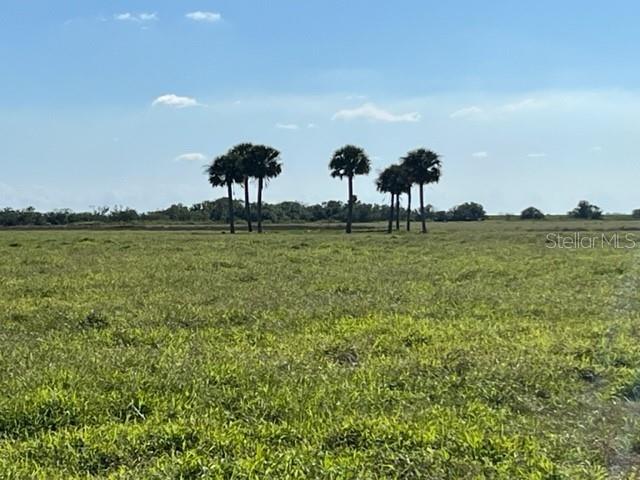 The Driggers' Ranch is truly a rare opportunity to own some of the most fertile 403.86 muck land in south Florida.
The ranch is approximately 7 miles east of Lake Placid, FL. and 2 miles SE of Lake Istokpoga, nestled amongst other cattle, sugarcane, and sod operations.
The property has 2 homes, a horse barn, cowpens and is irrigated by a 1200'x10" well.
Currently, the property houses an active commercial cattle operation. It is fenced and cross-fenced, with an elaborate ditching system, providing both irrigation and drainage.