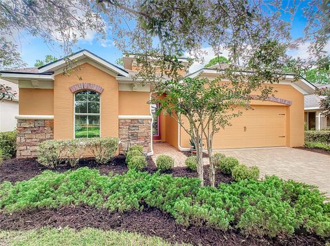 645 ELK RIVER DRIVE ORMOND BEACH FL 32174