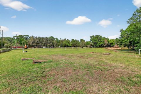 Tiny photo for 26921 Bloomfield Avenue, Yalaha, FL 34797 (MLS # G5109644)