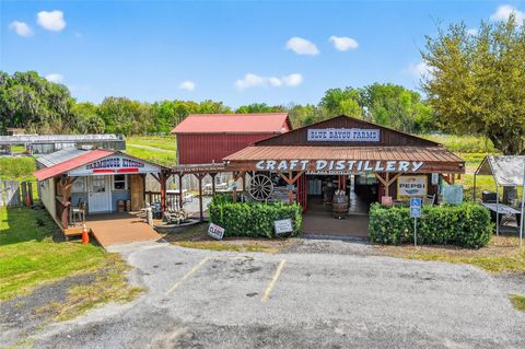 Tiny photo for 26921 Bloomfield Avenue, Yalaha, FL 34797 (MLS # G5109644)