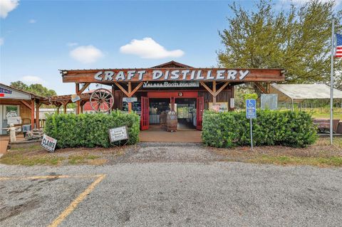 Tiny photo for 26921 Bloomfield Avenue, Yalaha, FL 34797 (MLS # G5109644)