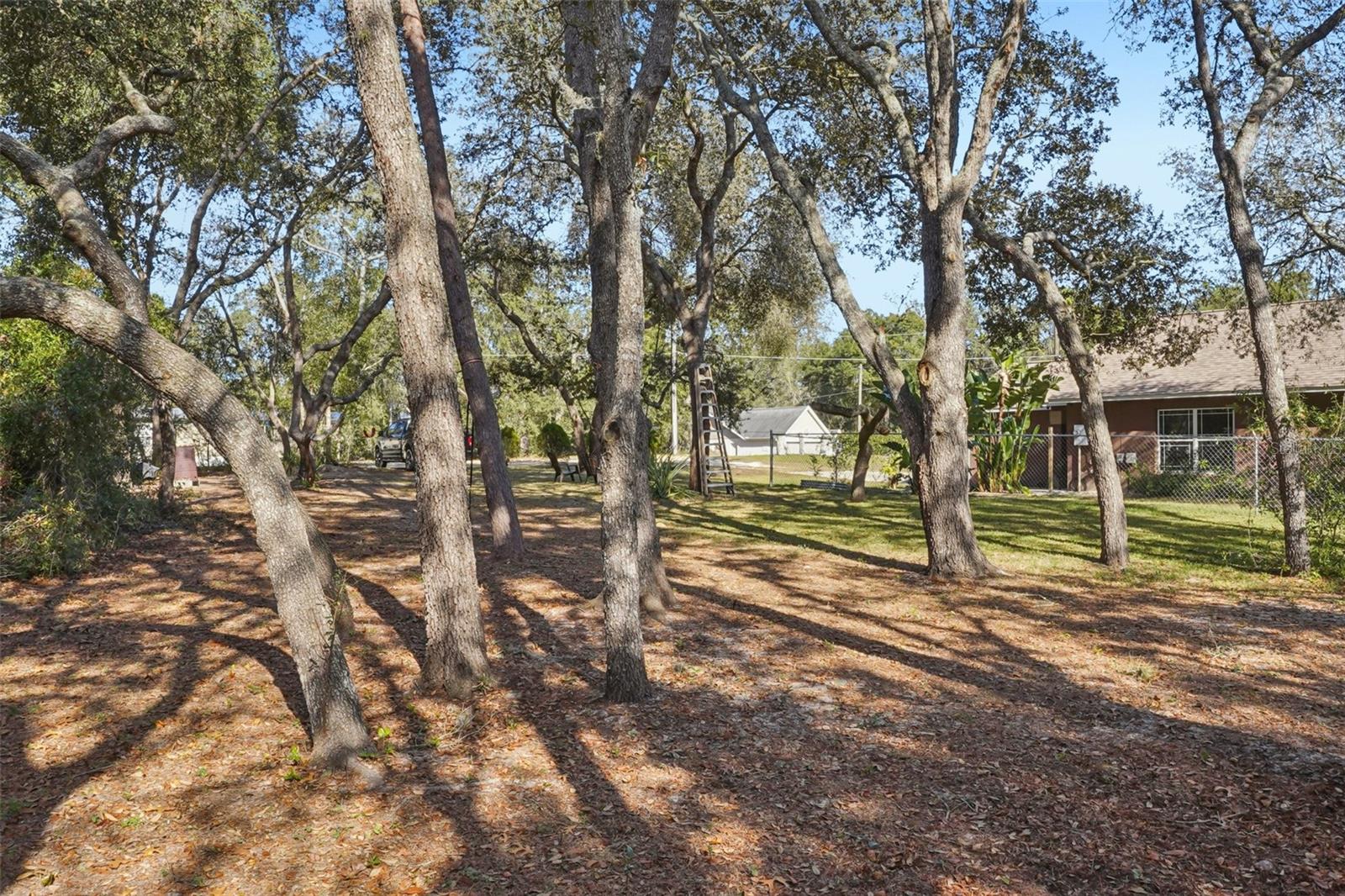 CARLTON VILLAGE PARK - Residential