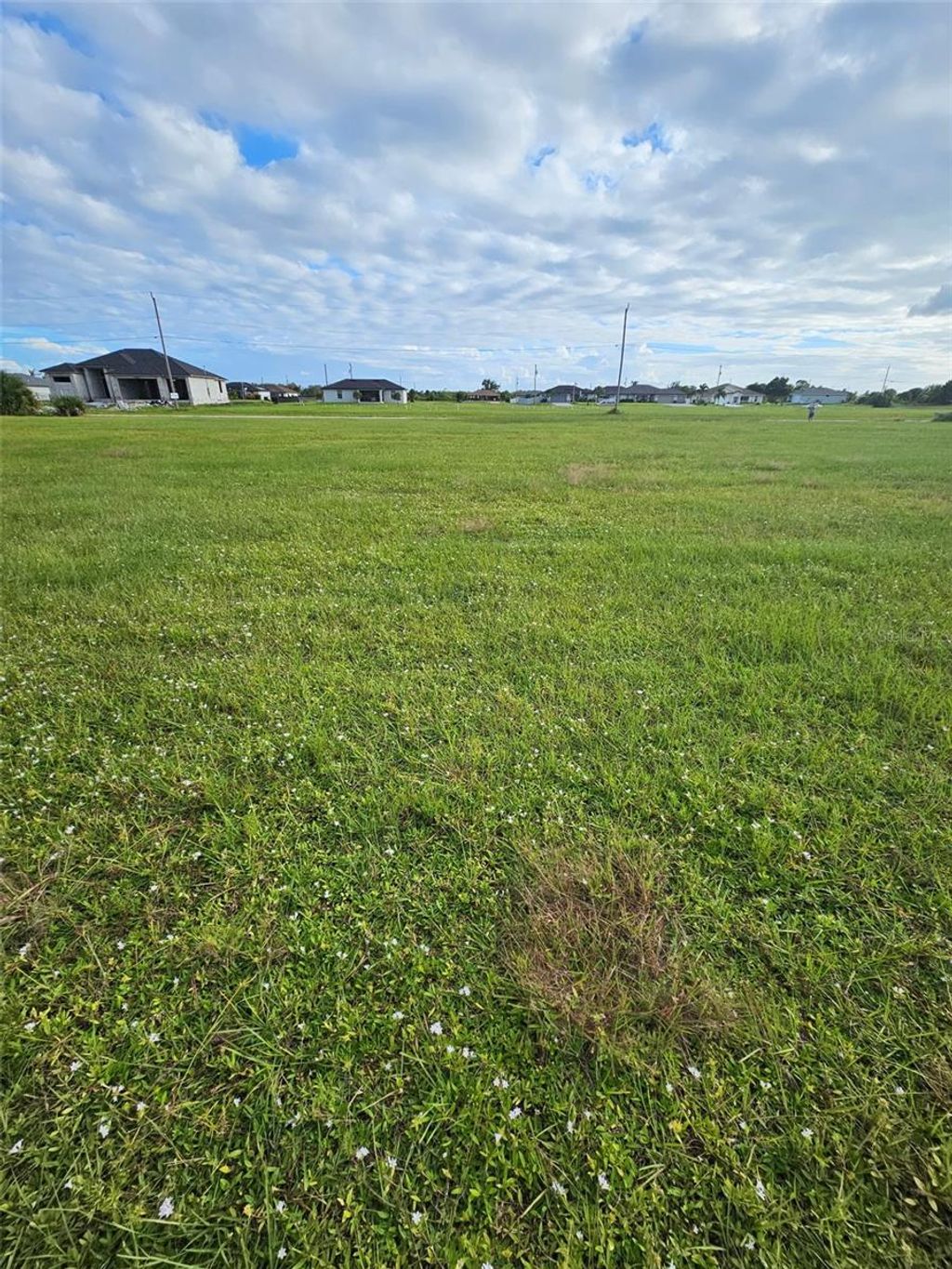 Photo of 3915 NW 38th Lane, Cape Coral, FL 33993 (MLS # OM710295)