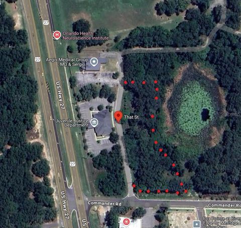 Photo of 4651 That Street, Leesburg, FL 34748 (MLS # O6292239)