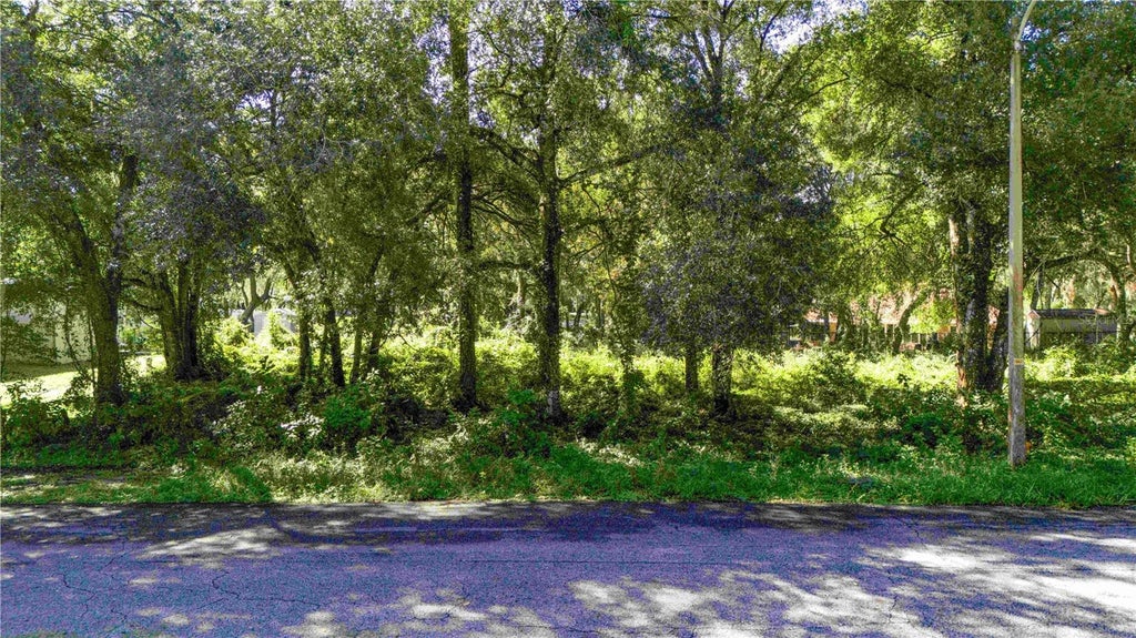 Photo of 0 Diplomat Street, Dade City, FL 33523 (MLS # TB8558622)