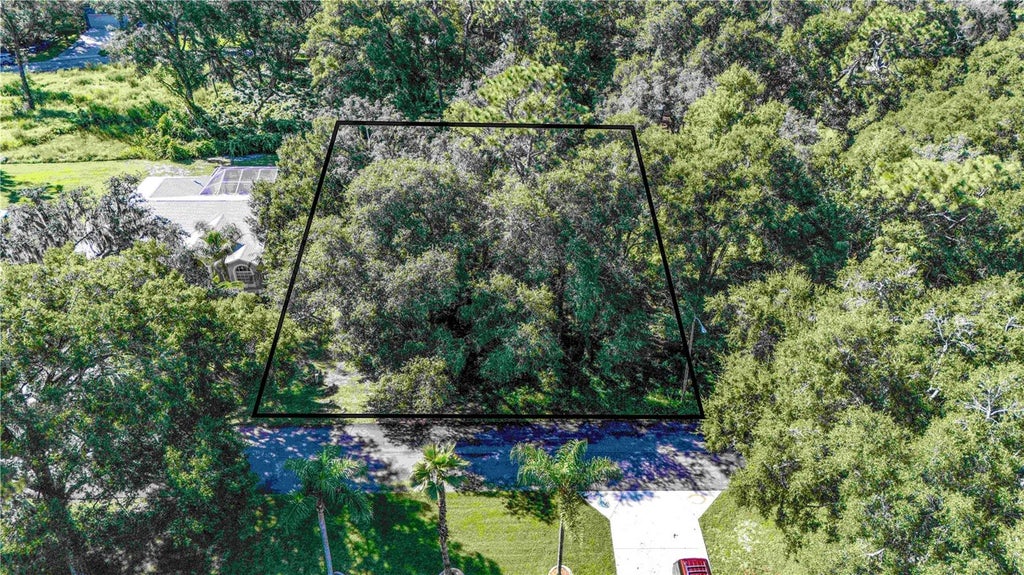 Photo of 0 Diplomat Street, Dade City, FL 33523 (MLS # TB8558622)