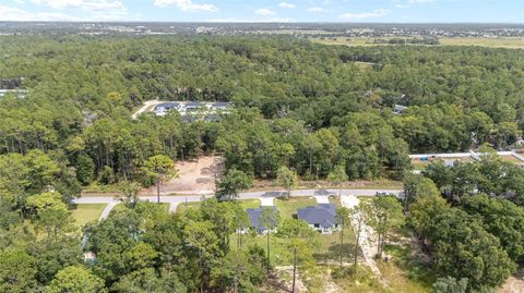 Tiny photo for 4362 SW 159 Court, Ocala, FL 34481 (MLS # OM725800)