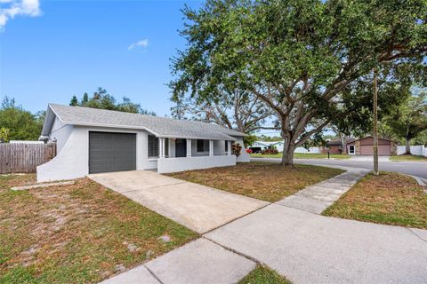 A home in PINELLAS PARK