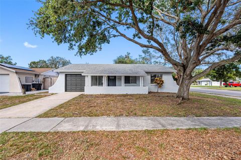 A home in PINELLAS PARK