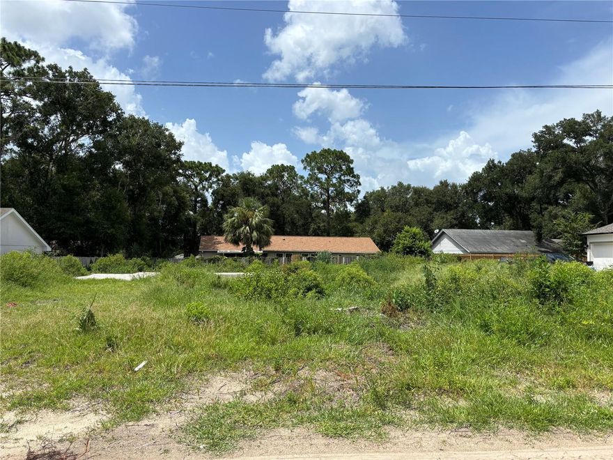 Discover the perfect opportunity to build your dream home on this spacious vacant lot in the peaceful community of Mount Plymouth. Nestled in a quiet neighborhood with no HOA, this lot offers a serene, natural setting with mature trees and easy access to major roads, shopping, and dining. Enjoy the charm of small-town living while still being just a short drive from Orlando, Sanford, and Mount Dora. Whether you're looking to invest or create a custom residence, this lot provides the flexibility and location you've been searching for. Don’t miss your chance to own a slice of Florida paradise!