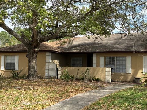 1141 SOPHIE BOULEVARD ORLANDO FL 32828