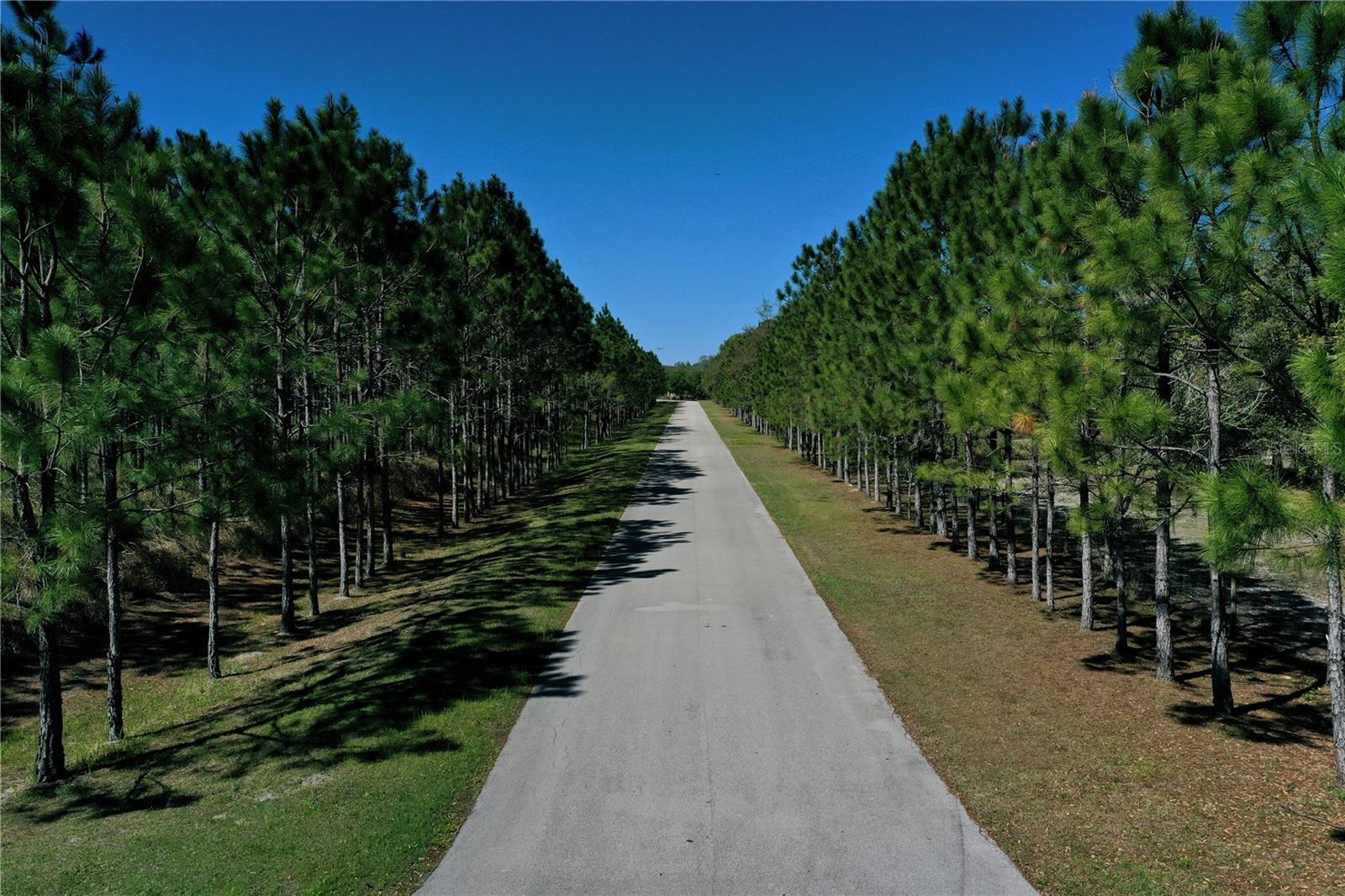 RESERVE/PINE LAKE - Land