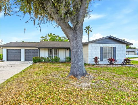 18320 DOLLY BROOK LANE LUTZ FL 33549