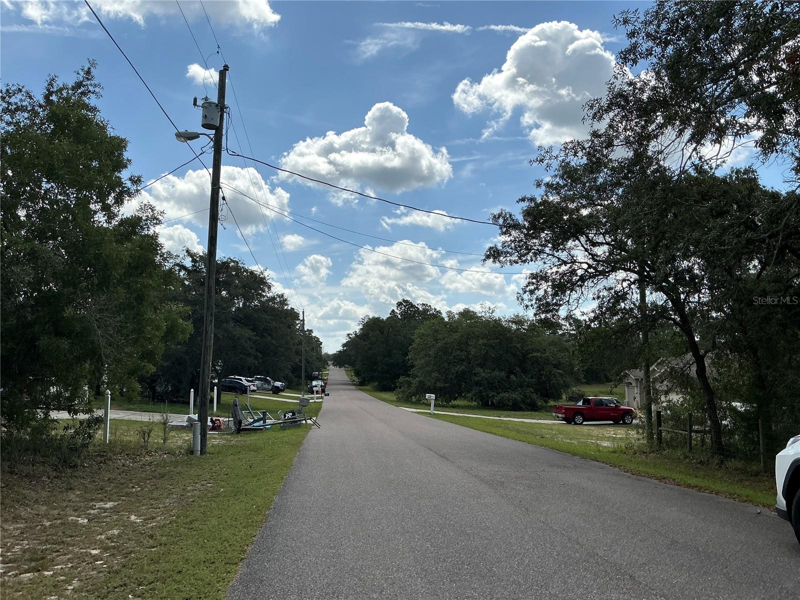 PERSIMMON AVENUE