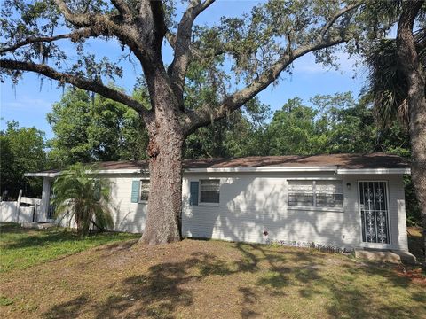 10010 N LANTANA AVENUE TAMPA FL 33612