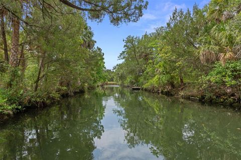 Tiny photo for 2272 S Todd Point, Homosassa, FL 34448 (MLS # W7885650)