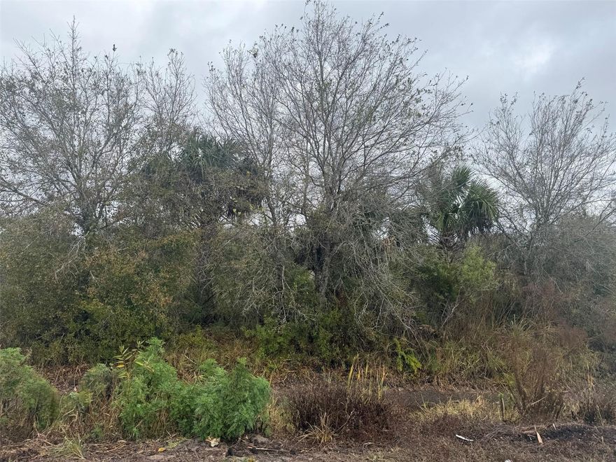 Build or bring your dream home on this 1.74-acre double lot located off a main paved road with easy access. Not in Wetlands per wetland mapper (buyer to confirm). Enjoy the best of Okeechobee living with world-class fishing on Lake Okeechobee, nearby hunting and wildlife areas, boating, and wide-open spaces. Conveniently located near shopping, dining, schools, and local amenities, while still offering the peace and privacy of rural Florida. No HOA and plenty of room for your vision.