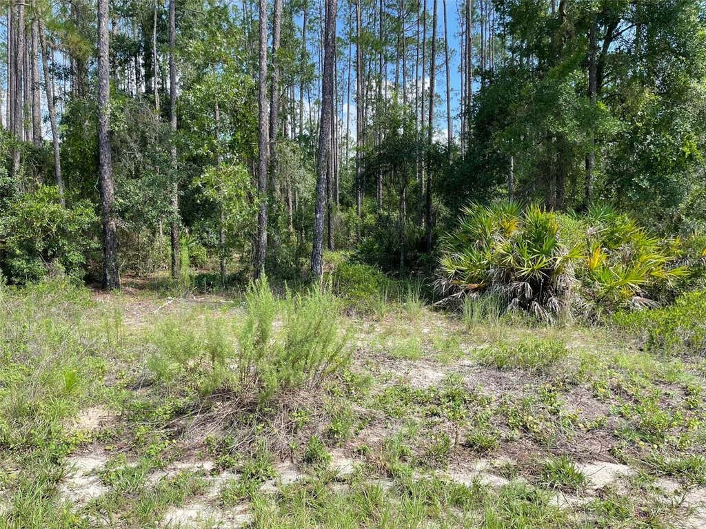 Photo of 23 SW Tiger Lake Boulevard W, Dunnellon, FL 34431 (MLS # OM729697)
