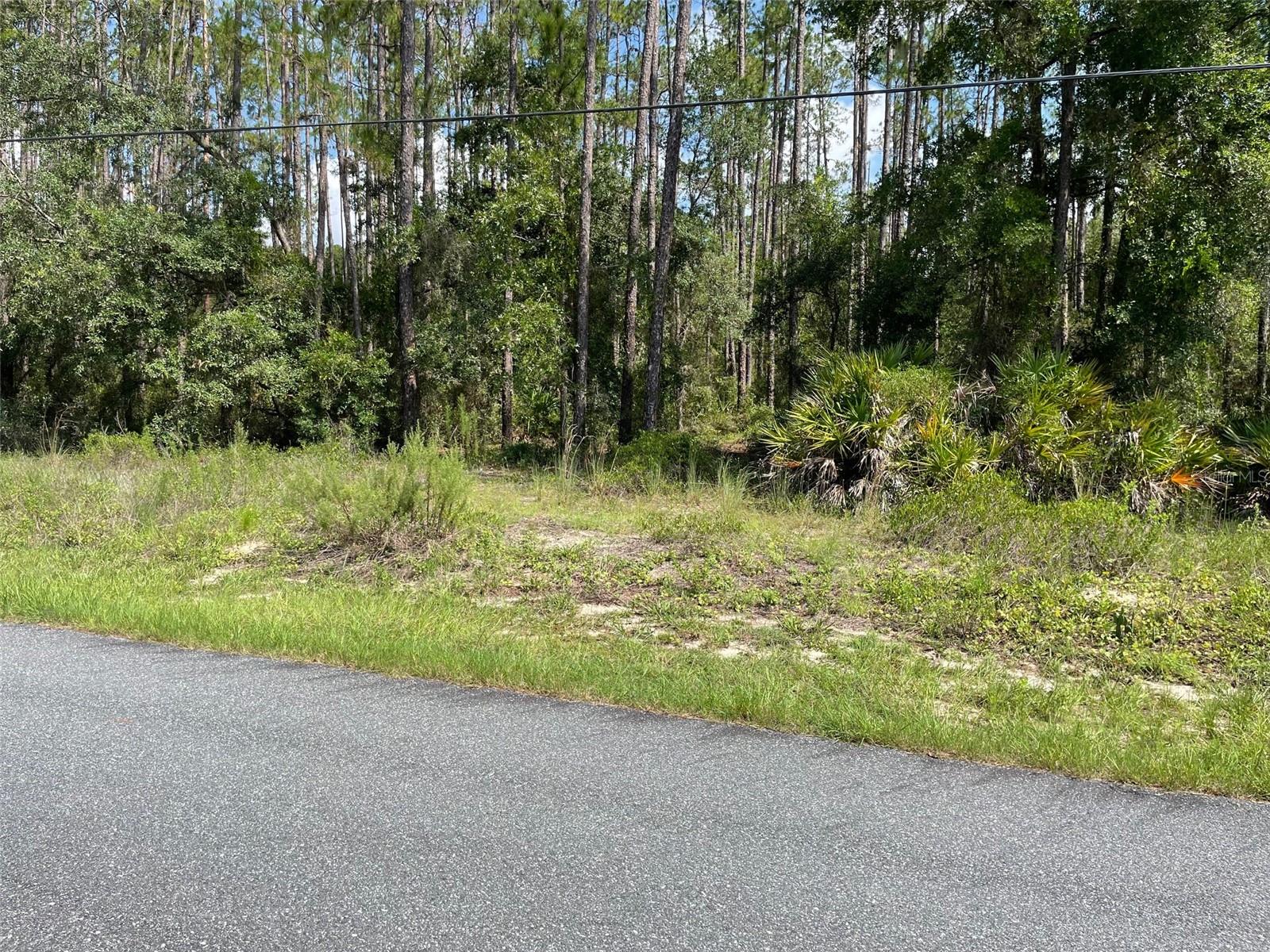 LOT 23 SW TIGER LAKE BOULEVARD W